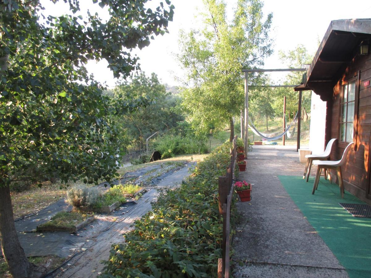 Bungalow "A Choupana" - Quinta Da Carvoica - Vale Pradinhos Vale de Pradinhos 외부 사진