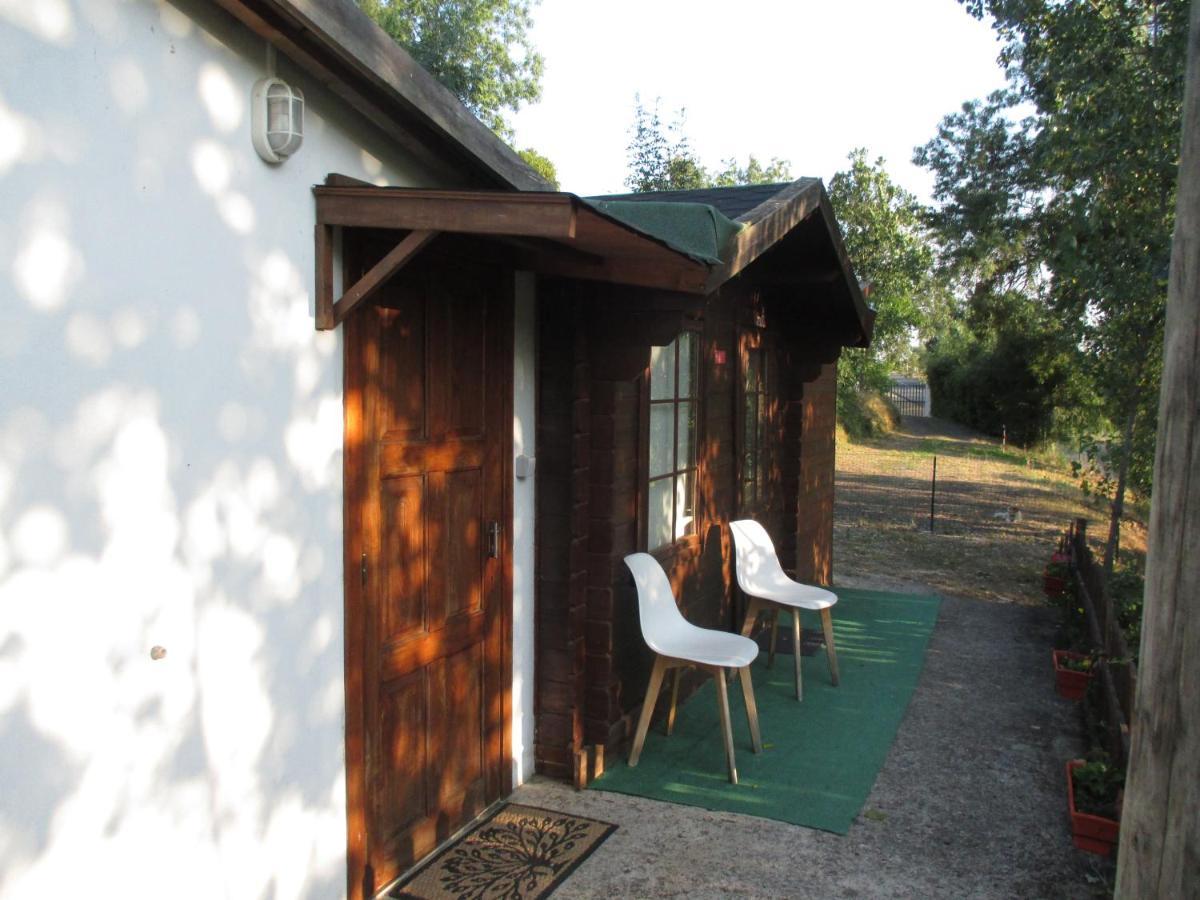 Bungalow "A Choupana" - Quinta Da Carvoica - Vale Pradinhos Vale de Pradinhos 외부 사진