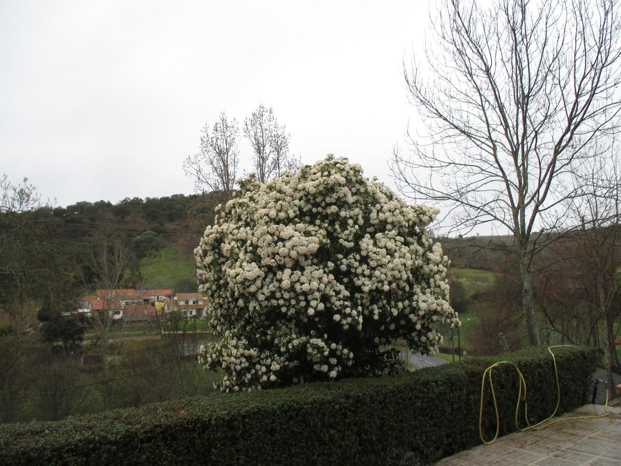 Bungalow "A Choupana" - Quinta Da Carvoica - Vale Pradinhos Vale de Pradinhos 외부 사진