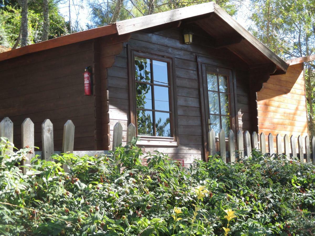 Bungalow "A Choupana" - Quinta Da Carvoica - Vale Pradinhos Vale de Pradinhos 외부 사진